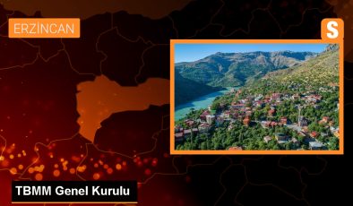 Erzincan’da maden faciasıyla ilgili gözaltı sayısı 9’a yükseldi